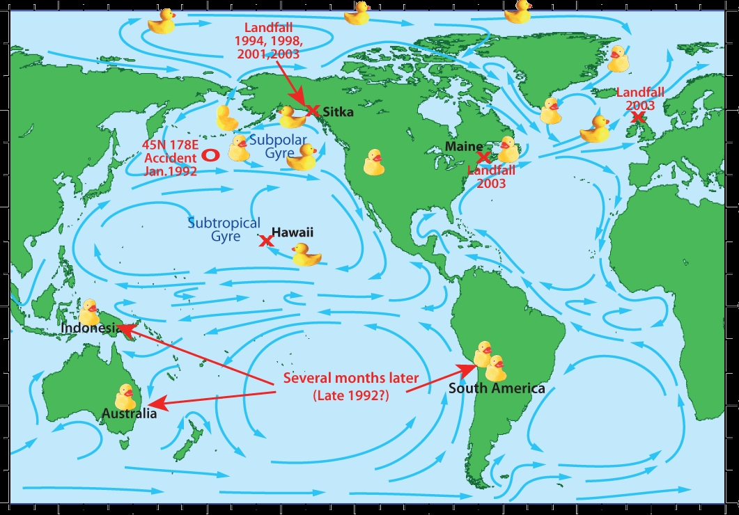 Des canards en plastique objets d'tudes scientifiques