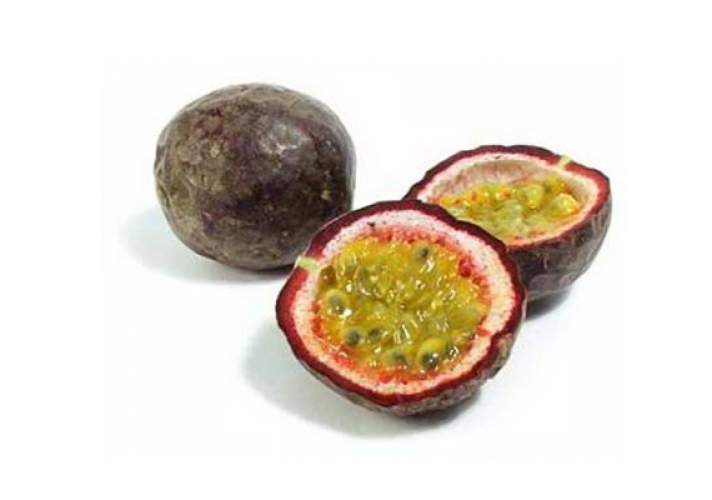 Spinoza : passions tristes et passions joyeuses (selon Deleuze)