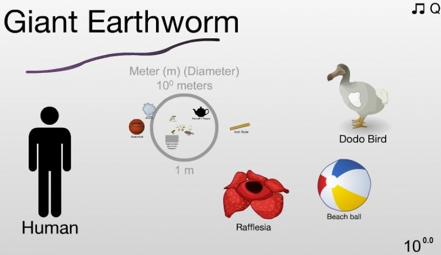 De l'infiniment petit  l'infiniment grand