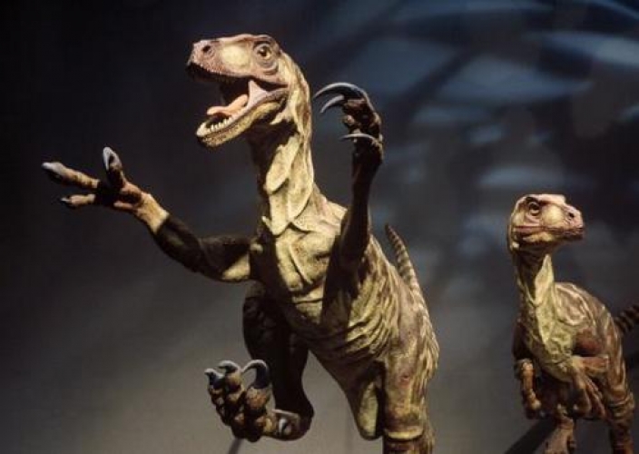 Des dinosaures-poulets marcheront-ils bientt sur Terre ?