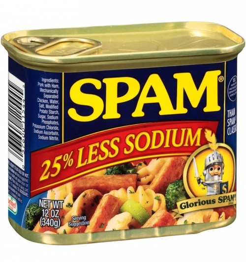 L’origine du mot Spam