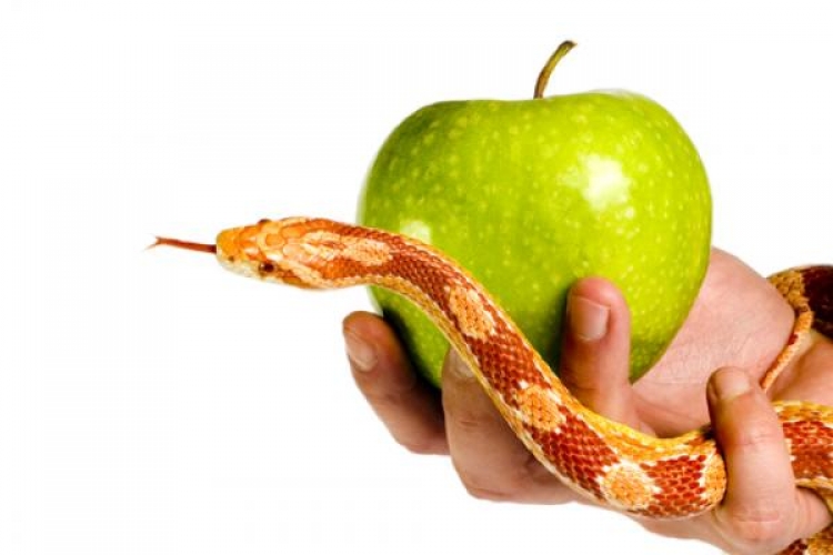 Pourquoi rsiste-t-on (parfois)  la tentation ?