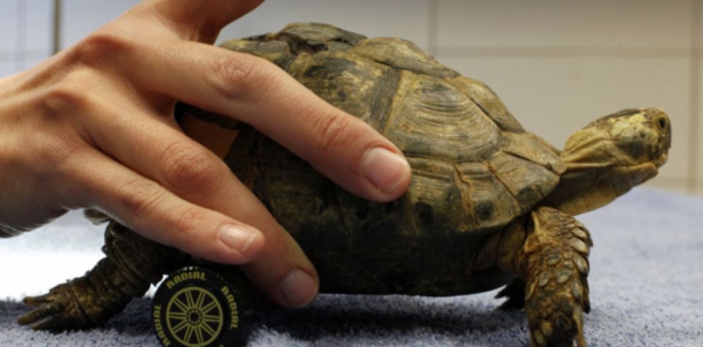 Pourquoi on circule mieux quand les voitures roulent moins vite ?